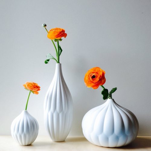 3vases ronunculosLR