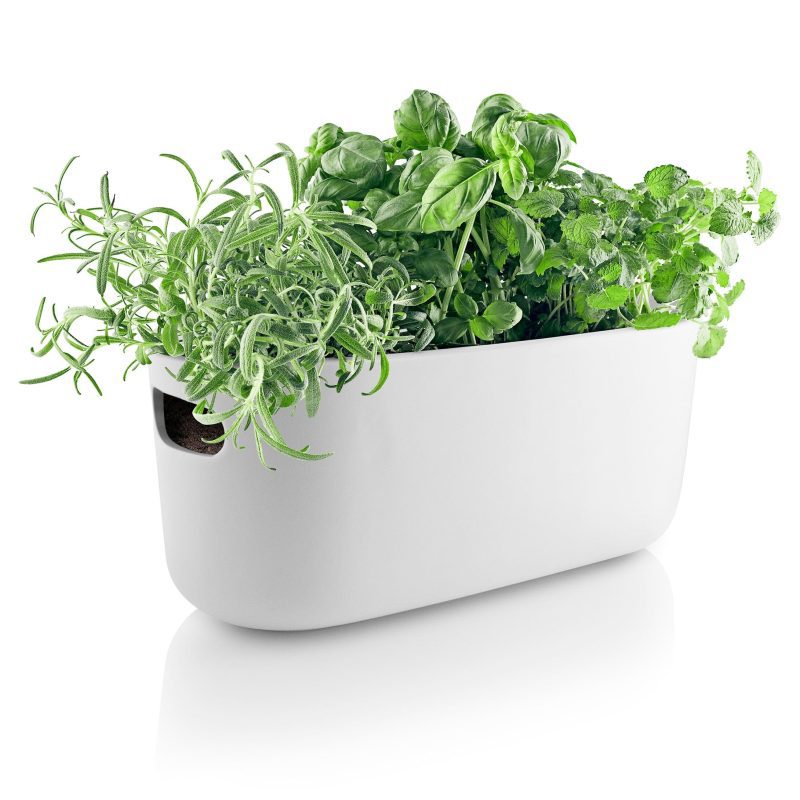 568168 Selfwatering herb station Matt white aRGB med sq