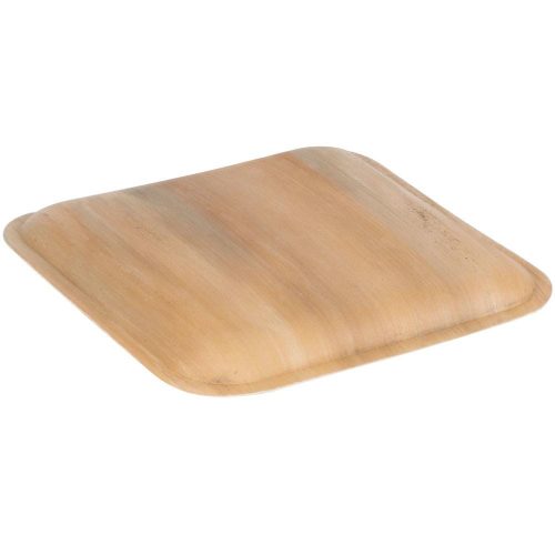 Karmic Seed Areca palm Square 10 Inch Plate 3