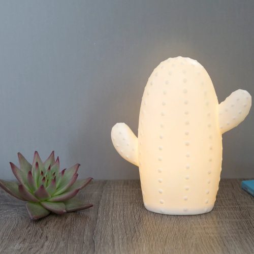 LT22 Lg Cactus Lamp Action 6374