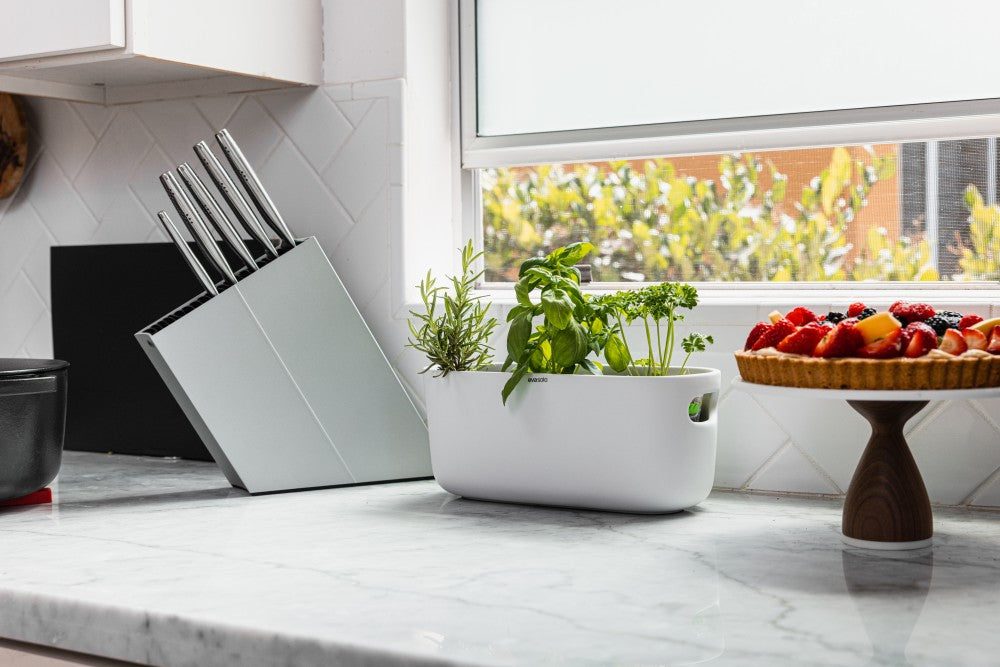 Modern knife stand on counter next to planter